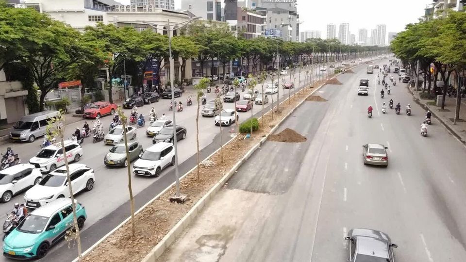 Hà Nội: Hàng cây mới trồng trên đường Võ Chí Công sẽ được xử lý thế nào?