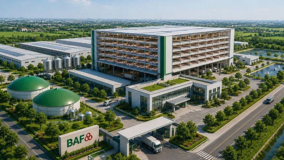 Sau Hà Nội, BAF đề xuất đầu tư tổ hợp chăn nuôi lợn công nghệ cao rộng hơn 200ha tại tỉnh nhỏ nhất Việt Nam