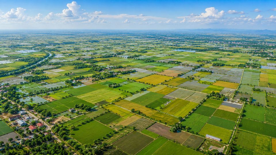 Cả nước điều chỉnh hơn 1,12 triệu ha đất nông nghiệp, tạo dư địa cho hạ tầng và công nghiệp đến năm 2030